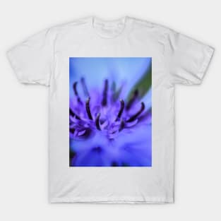 Cornflower T-Shirt